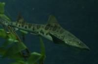 Geen foto's beschikbaar op dit  moment