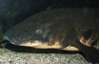 Geen foto's beschikbaar op dit  moment